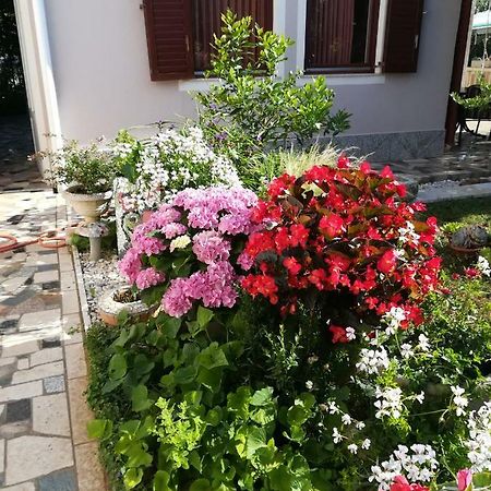 Holiday Home Nadia Пула Екстер'єр фото